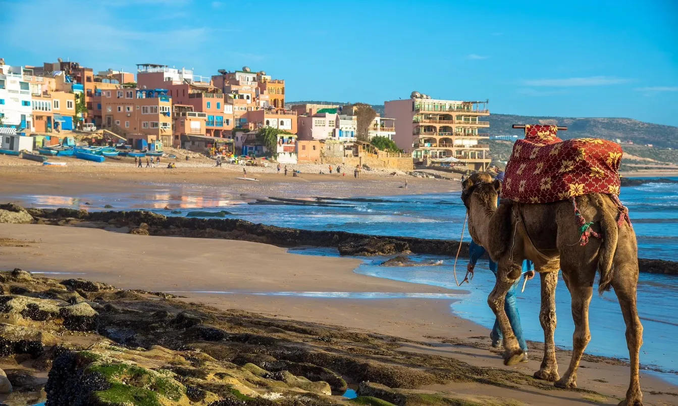 Vue panoramique de Taghazout avec dromadaire sur la plage